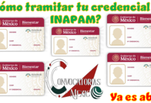 ¿Cómo tramitar tu credencial de INAPAM?: Ya es abril