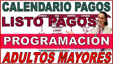 Confirman Calendario Tentativo de Pagos de la Pensión del Bienestar ¿Cuándo Te Toca Recibir Tu Depósito ¡Ariadna Montiel Reyes y Secretaría del Bienestar NO lo han dicho!
