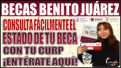Consulta fácilmente el estado de tu Beca Benito Juárez con tu CURP: ¡Aquí te decimos cómo!
