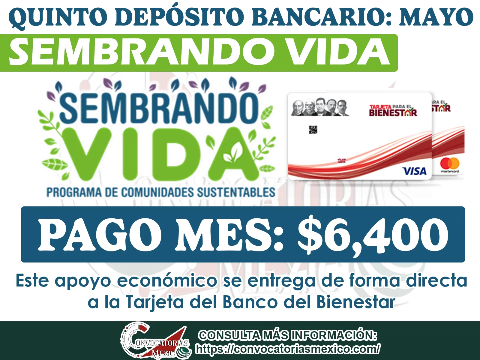 Consulta la fecha del quinto pago del año del Programa Sembrando Vida ¡Recibe hasta 6 Mil 450 pesos!