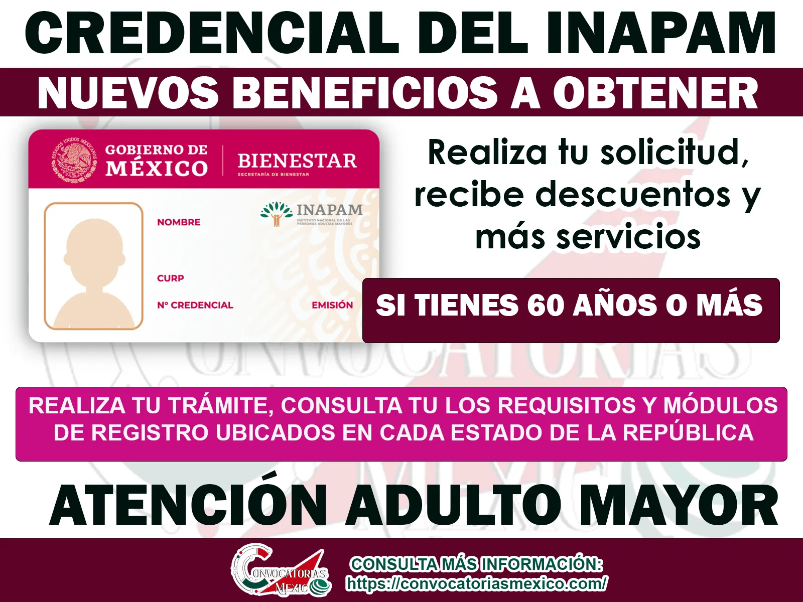 Consulta que otros beneficios puedes obtener con tu Credencial del INAPAM 11 Consulta que otros beneficios puedes obtener con tu Credencial del INAPAM