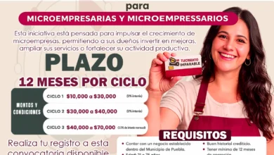Convocatoria Tu Crédito Individual ¡Consulta los requisitos y como puedes acceder a ella! Apoyo para emprendedores
