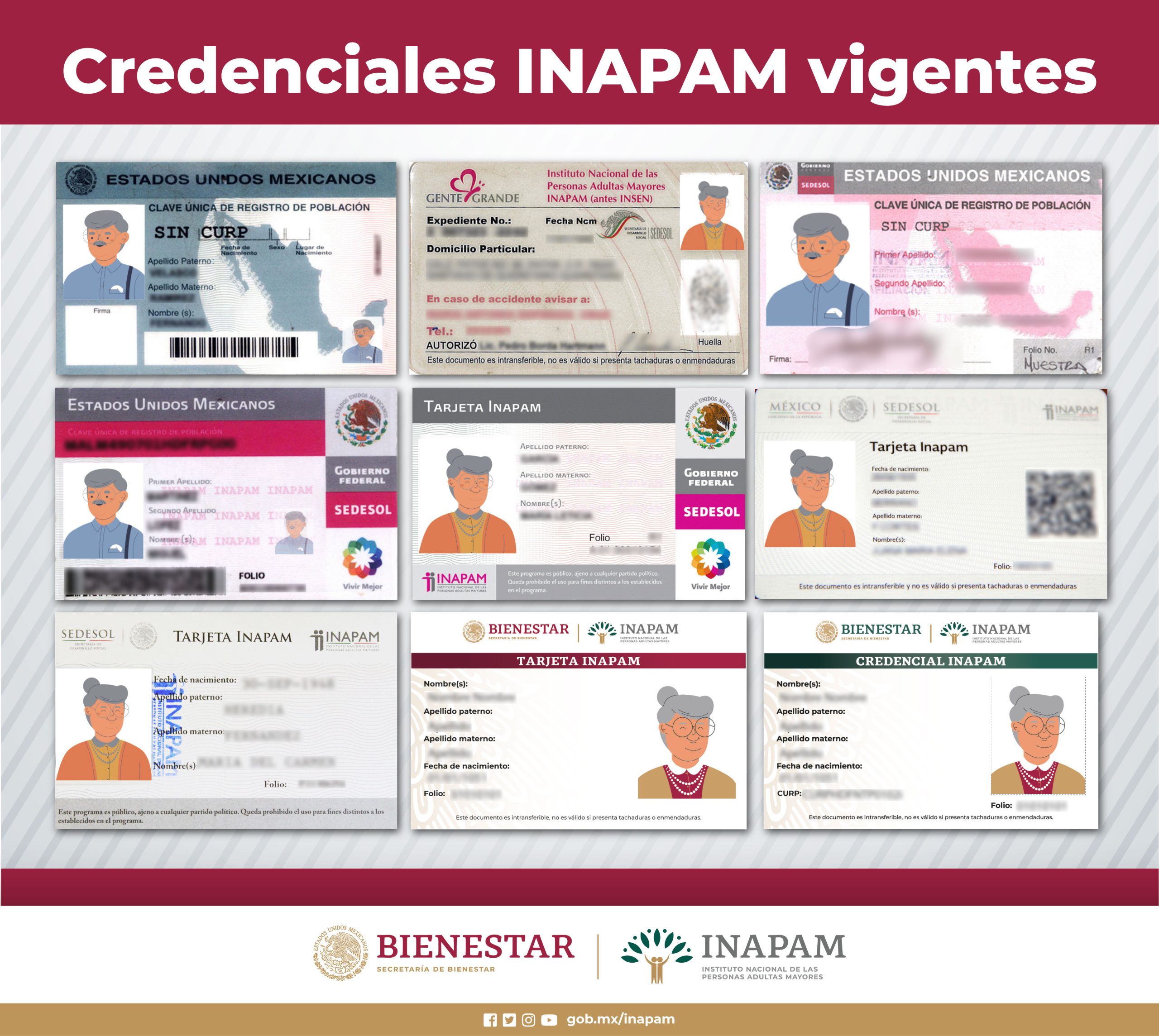 Te Diremos que Debes Hacer para Renovar tu Credencial INAPAM 12 CredencialesVigentesINAPAM Mesa de trabajo 1 scaled