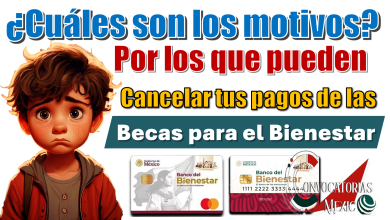 ¿Cuáles son los motivos por los que pueden cancelar tus pagos de las Becas para el Bienestar?