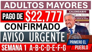 Cuándo recibirás tu apoyo monetario de las Pensiones Bienestar