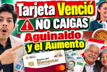 Pensión Bienestar en octubre 2026: Cómo revisar tus depósitos, cambio de tarjetas vencidas y montos confirmados 12 Cuánto dinero debiste recibir de los Programas del Bienestar en 2026