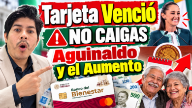 Cuánto dinero debiste recibir de los Programas del Bienestar en 2026