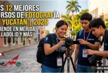 Estudiantes de fotografía revisando un encuadre en una cámara sobre trípode en una calle colonial del centro histórico de Mérida, Yucatán.