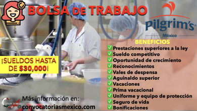 DESCUBRE LAS MEJORES OFERTAS DE EMPLEO DE “PILGRIM’S” Y COMIENZA OBTENER GANANCIAS ¡SUELDOS HASTA DE 30,000.00!