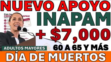 Apoyos del INAPAM en 2025: descuentos, Vinculación Productiva y pensiones — requisitos, montos y cómo aprovecharlos