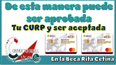 De esta manera puede ser aprobada tu CURP y ser aceptado en la Beca Rita Cetina 