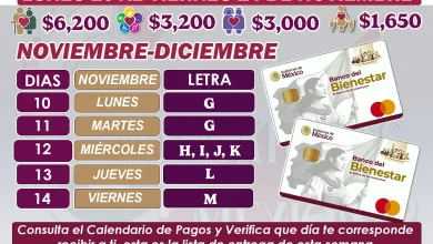 Del lunes 10 al viernes 14 de noviembre ¡Estas son las letras que recibirán su pago de los Programas del Bienestar!