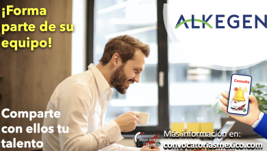 Descubre nuevas oportunidades de trabajo en "Alkegen" ¡Conoce sus vacantes!
