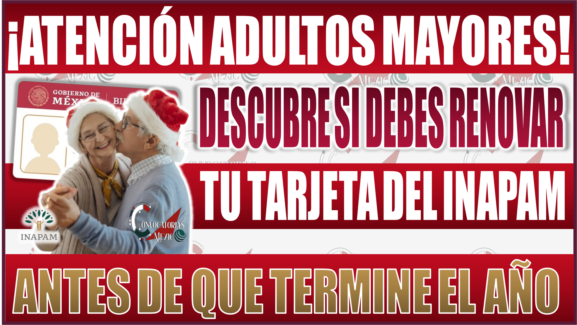 Descubre si debes renovar tu tarjeta del INAPAM este diciembre y no pierdas tus beneficios
