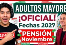 Documentos obligatorios y registro de persona auxiliar