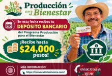 En esta fecha recibes tu depósito bancario del Programa Producción para el Bienestar ¡Recibe hasta $24,000 pesos!