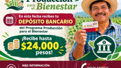 En esta fecha recibes tu depósito bancario del Programa Producción para el Bienestar ¡Recibe hasta $24,000 pesos!