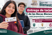 Entrega de tarjetas de las Becas Bienestar para estudiantes de preparatoria y universidad sería en noviembre y diciembre de 2026