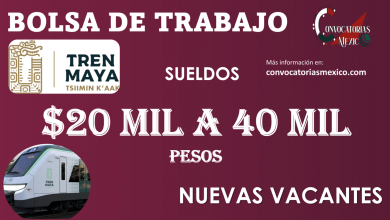Estas son las Nuevas Vacantes para el TREN MAYA con SALARIO que van desde los 20 mil a 40 mil pesos