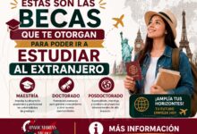 Estas son las becas que te otorgan para poder ir a estudiar al extranjero: Maestría, Doctorado y Posdoctorado