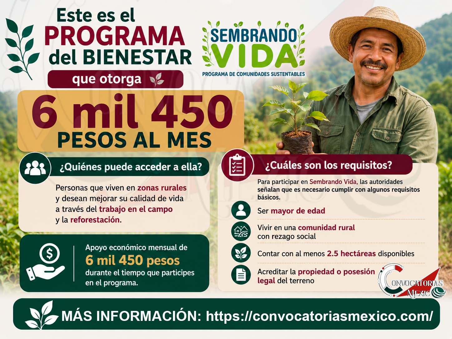 Este es el Programa del Bienestar que otorga 6 mil 450 pesos al mes ¿Quiénes puede acceder a ella?