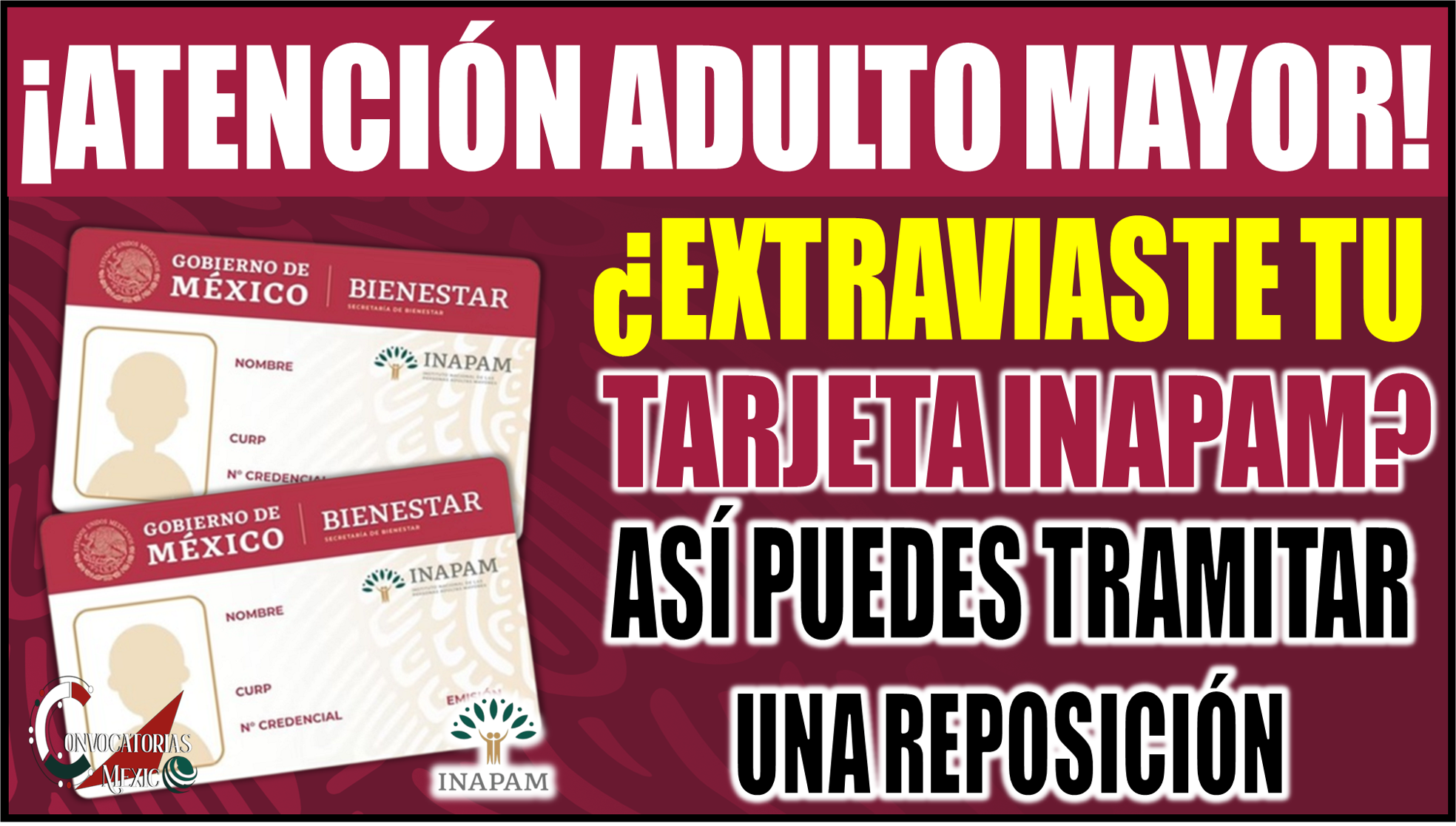 ¿Extraviaste tu tarjeta INAPAM? Así puedes tramitar una reposición