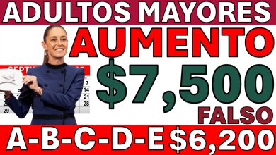 Pensión del Bienestar: lo que se sabe del pago de septiembre y los registros activos para mujeres de 60 a 64