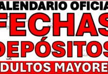 FECHAS AVISO MEXICO PENSION
