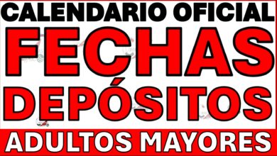 FECHAS AVISO MEXICO PENSION