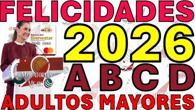 Presupuesto Histórico 2025: Bienestar Recibirá 1 Billón de Pesos y el Panorama de las Pensiones en México