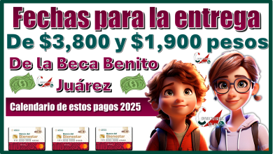 Fechas para la entrega de $3,800 y $1,900 pesos de la Beca Benito Juárez | Calendario de estos pagos 2025 