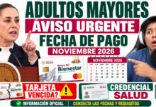 ¿Recibiré aguinaldo de la Pensión Bienestar en diciembre?