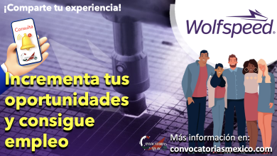 Forma parte del equipo de Wolfspeed ¡Conoce sus ofertas de empleo!
