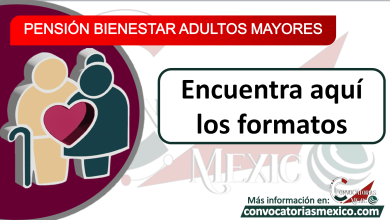 Los formatos que debes llenar para la pensión adultos mayores