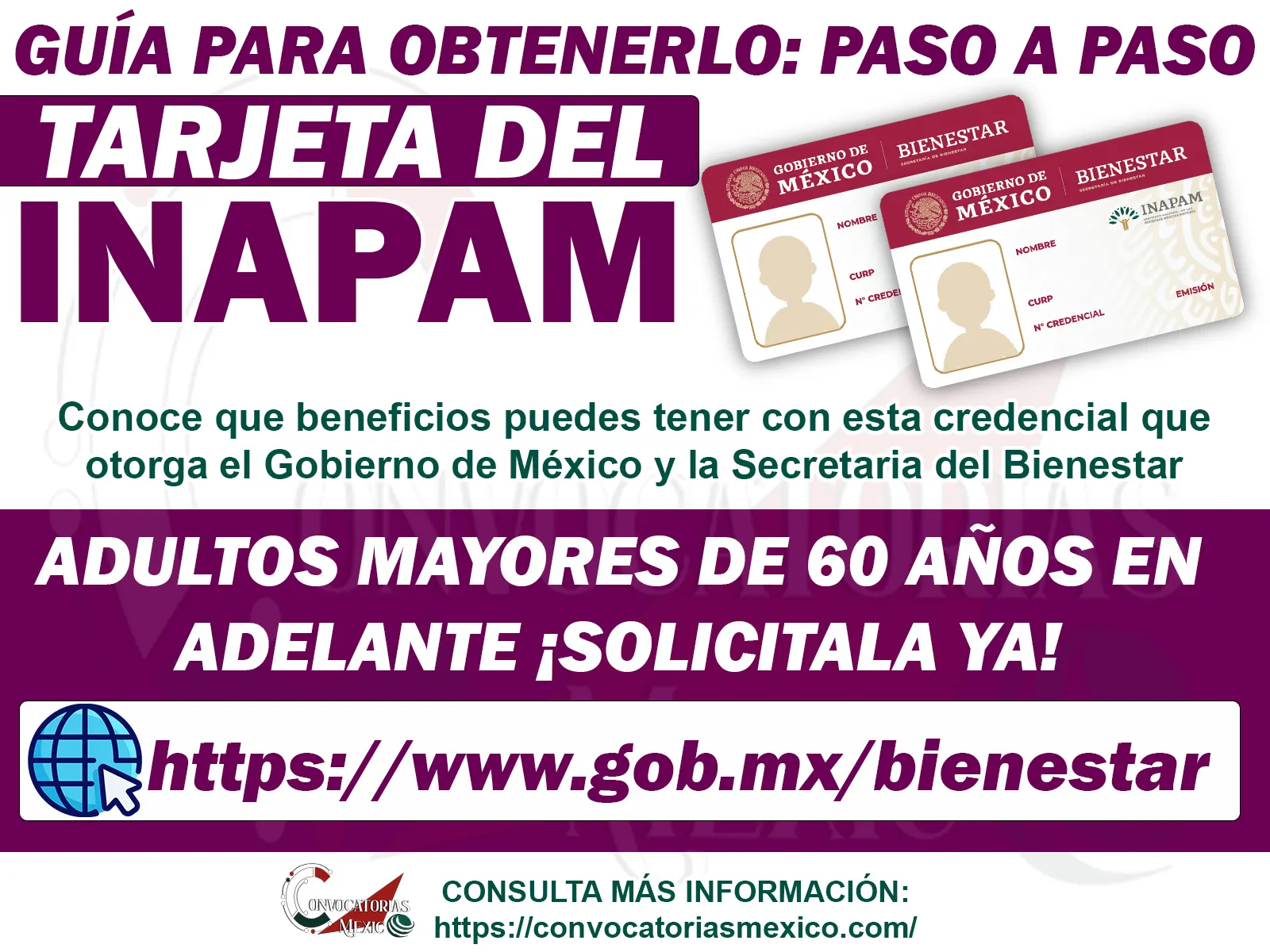 Guia oficial para tramitar la tarjeta INAPAM y acceder a beneficios para adultos mayores