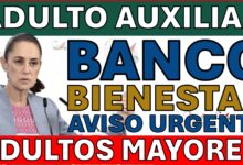 El requisito obligatorio antes del pago de septiembre que podría congelar tu Pensión Bienestar 12 ¿No tienes Auxiliar? Podrías PERDER la Pensión Bienestar