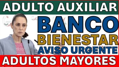 ¿No tienes Auxiliar? Podrías PERDER la Pensión Bienestar