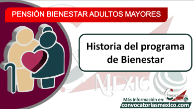 Pensión adultos mayores: ¿Desde cuándo existe?