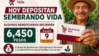 Hoy llega el pago del Programa Sembrando Vida ¡Consulta tu Saldo y verifica si ya te llego los 6 mil 450 pesos!