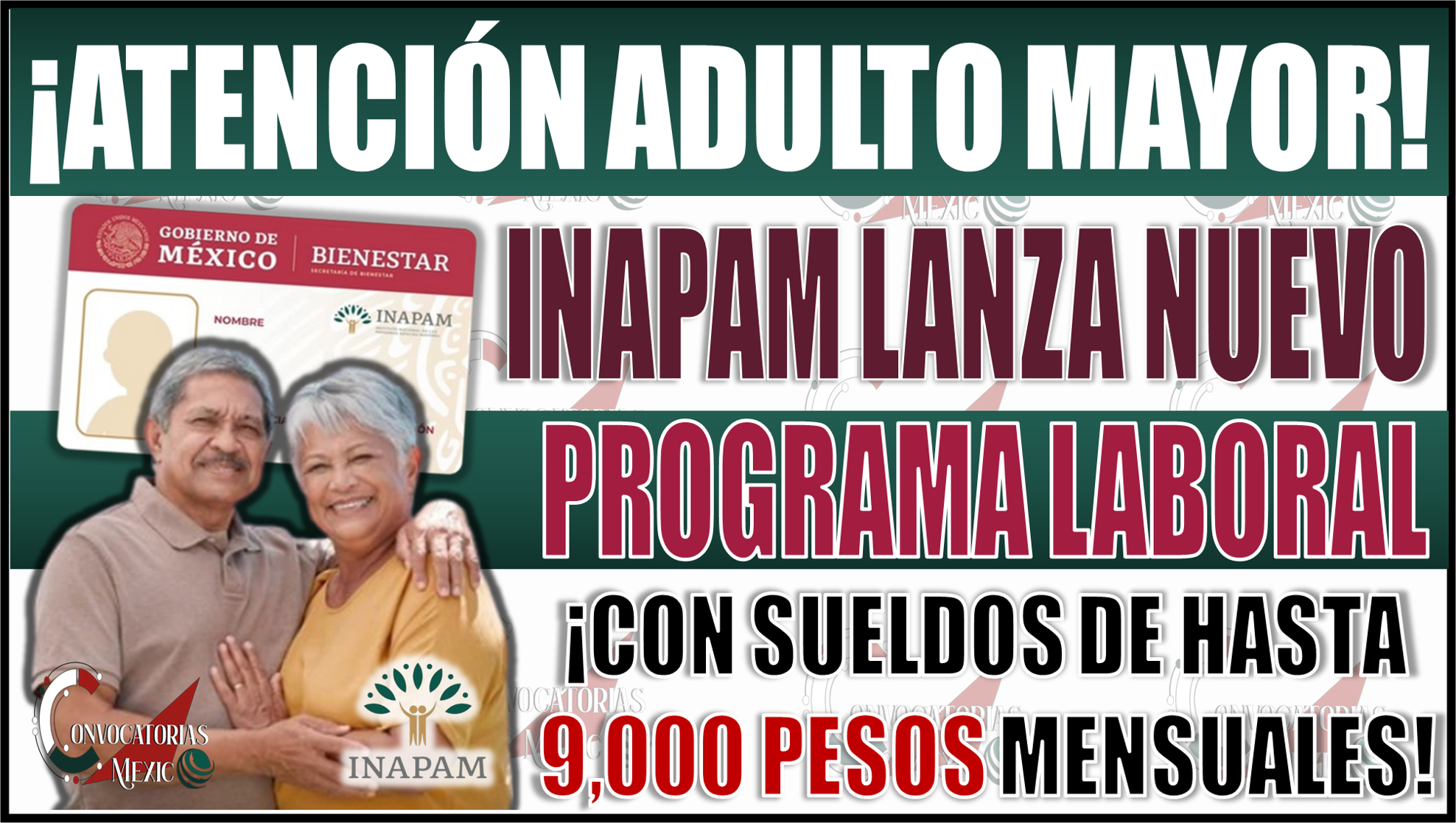 INAPAM Lanza nuevo programa laboral para Adultos Mayores: ¡Sueldos de hasta 9,000 pesos!