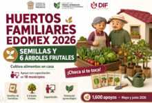 Huertos Familiares Edomex 2026: entregan semillas y árboles frutales para cultivar alimentos en casa