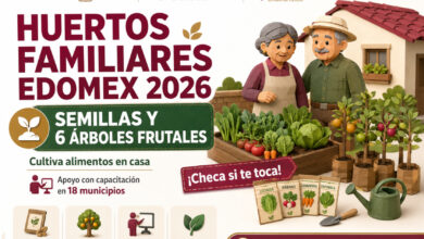 Huertos Familiares Edomex 2026: entregan semillas y árboles frutales para cultivar alimentos en casa