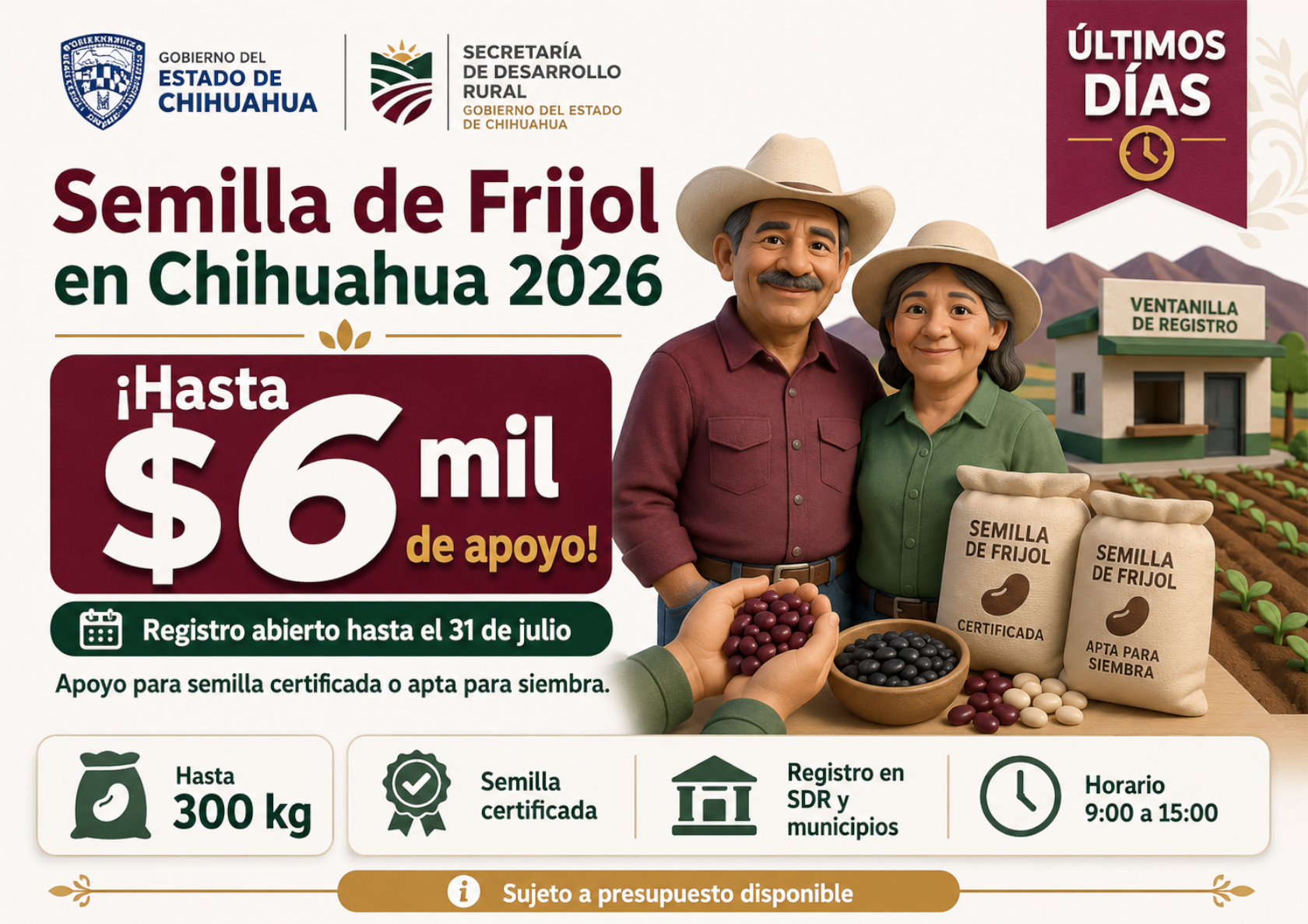 Semilla de Frijol en Chihuahua 2026: apoyo de hasta 6 mil pesos para productores del campo