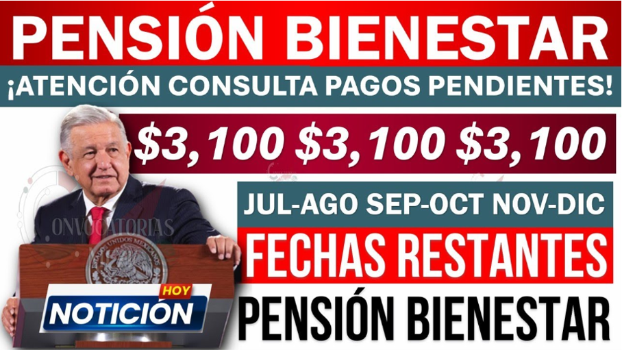 "Calendario de Pagos 2024: Guía para Beneficiarios del Programa de Pensión para Personas con Discapacidad"