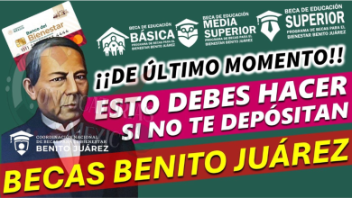¿No has Recibido el Depósito de la Beca Benito Juárez? Aquí te Explicamos qué Hacer
