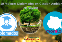 Los 10 Mejores Diplomados en Gestión Ambiental en Morelos
