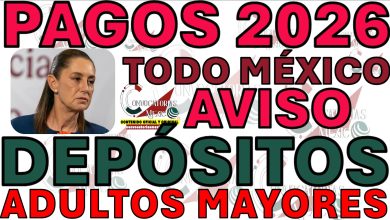 Imagen12