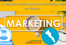 Los 10 Mejores Diplomados en Marketing Digital en Sinaloa