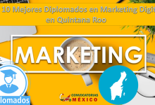 Los 10 Mejores Diplomados en Marketing Digital en Quintana Roo
