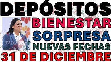 Pensión Bienestar 2026: Posible Adelanto de Pago, Nuevos Montos y la Verdad sobre el Censo "Salud Casa por Casa"